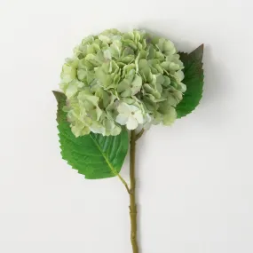 21"H Sullivans Blooming Green Hydrangea, Green