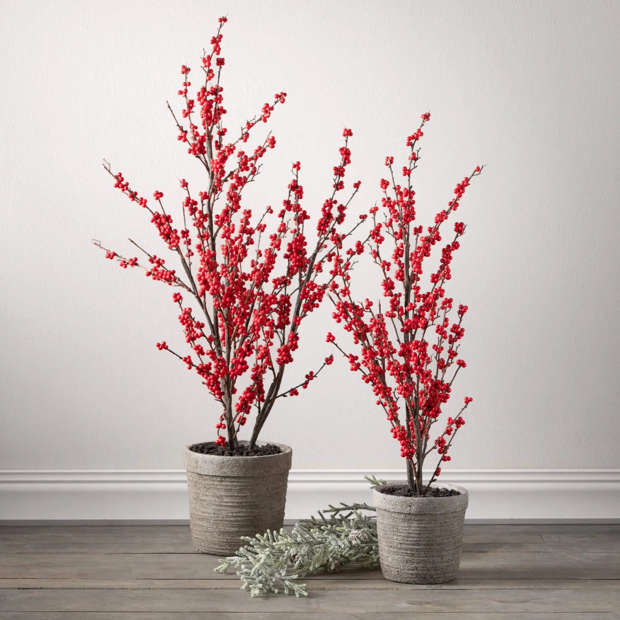 31"H and 38"H Sullivans Potted Red Berry Tree - Set of 2, Red