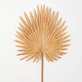 36"H Sullivans Beige Fan Palm Leaf, Brown