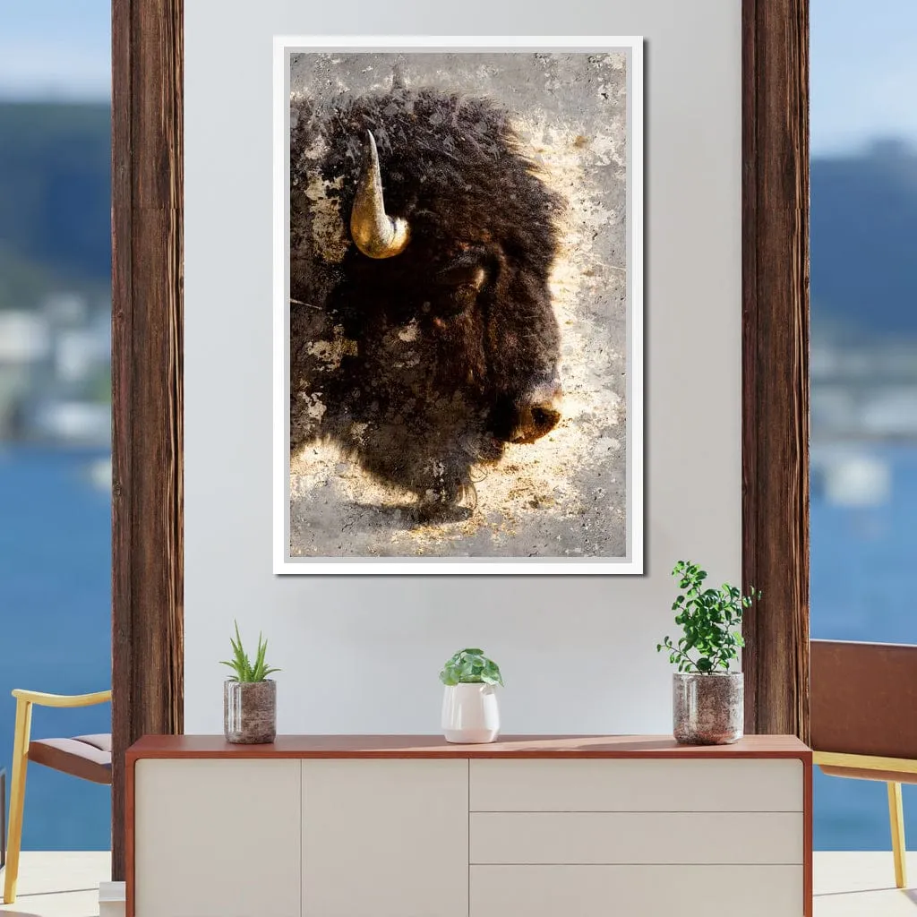 American Bison