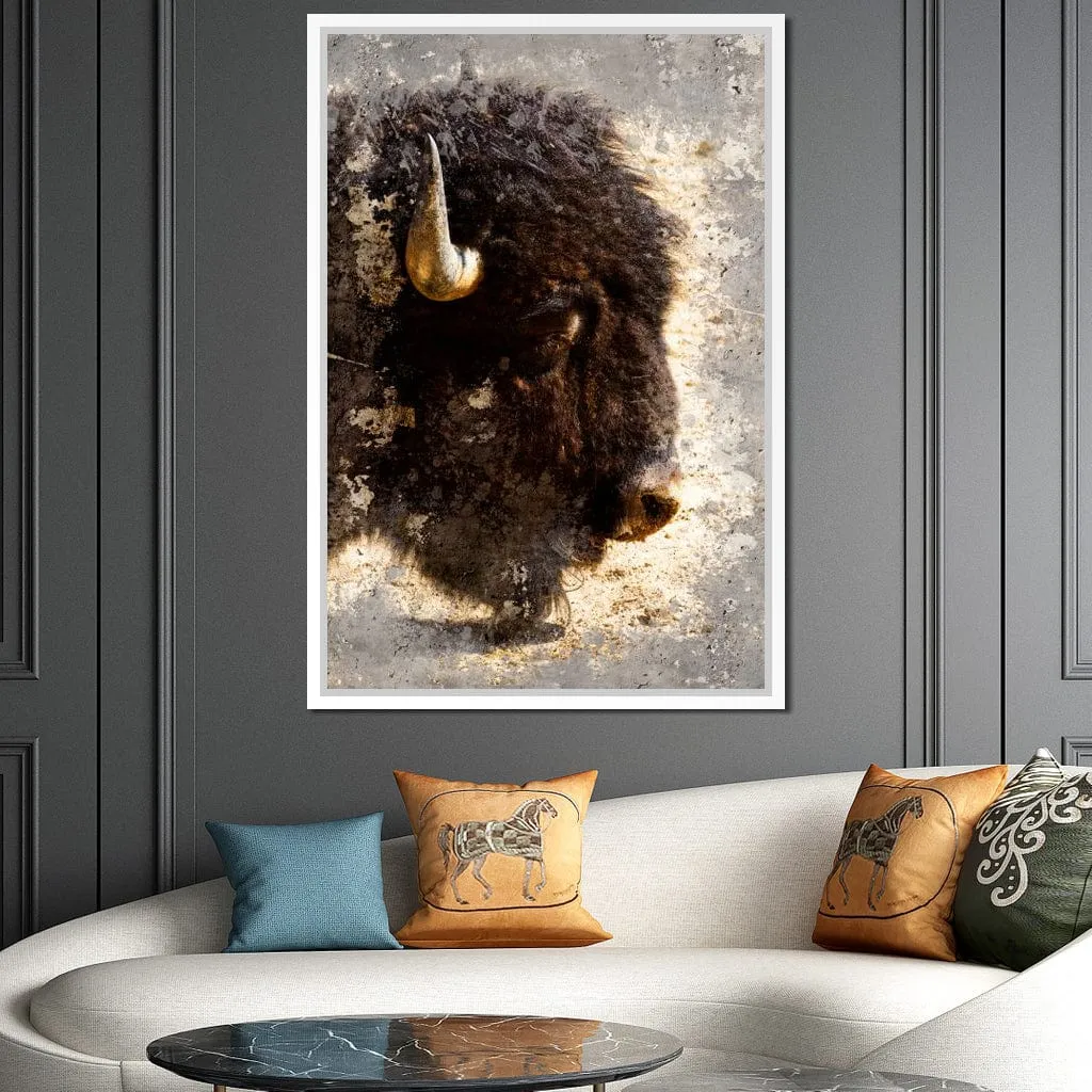 American Bison