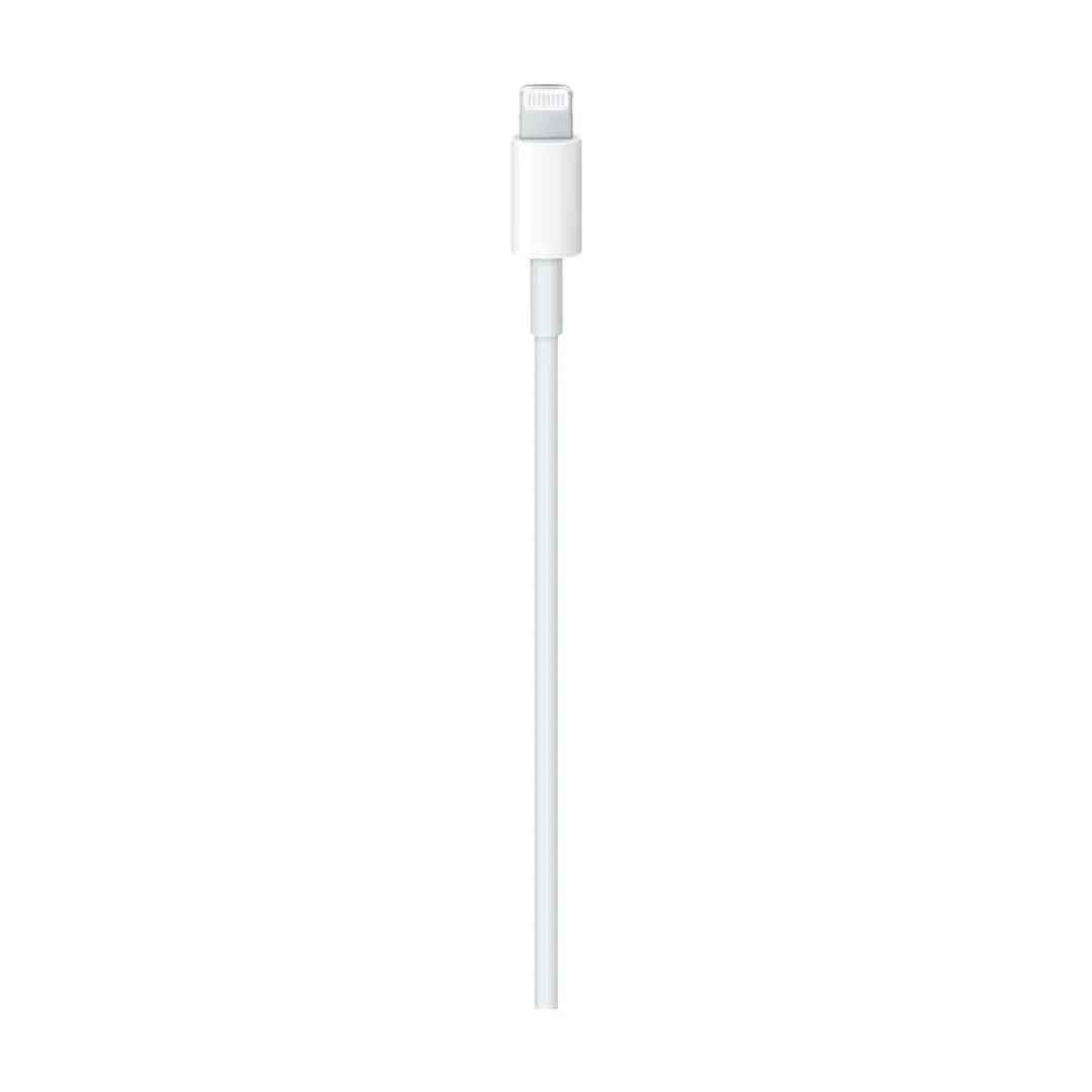 Apple USB-C TO LIGHTING (MM0A3ZM/A) Cable