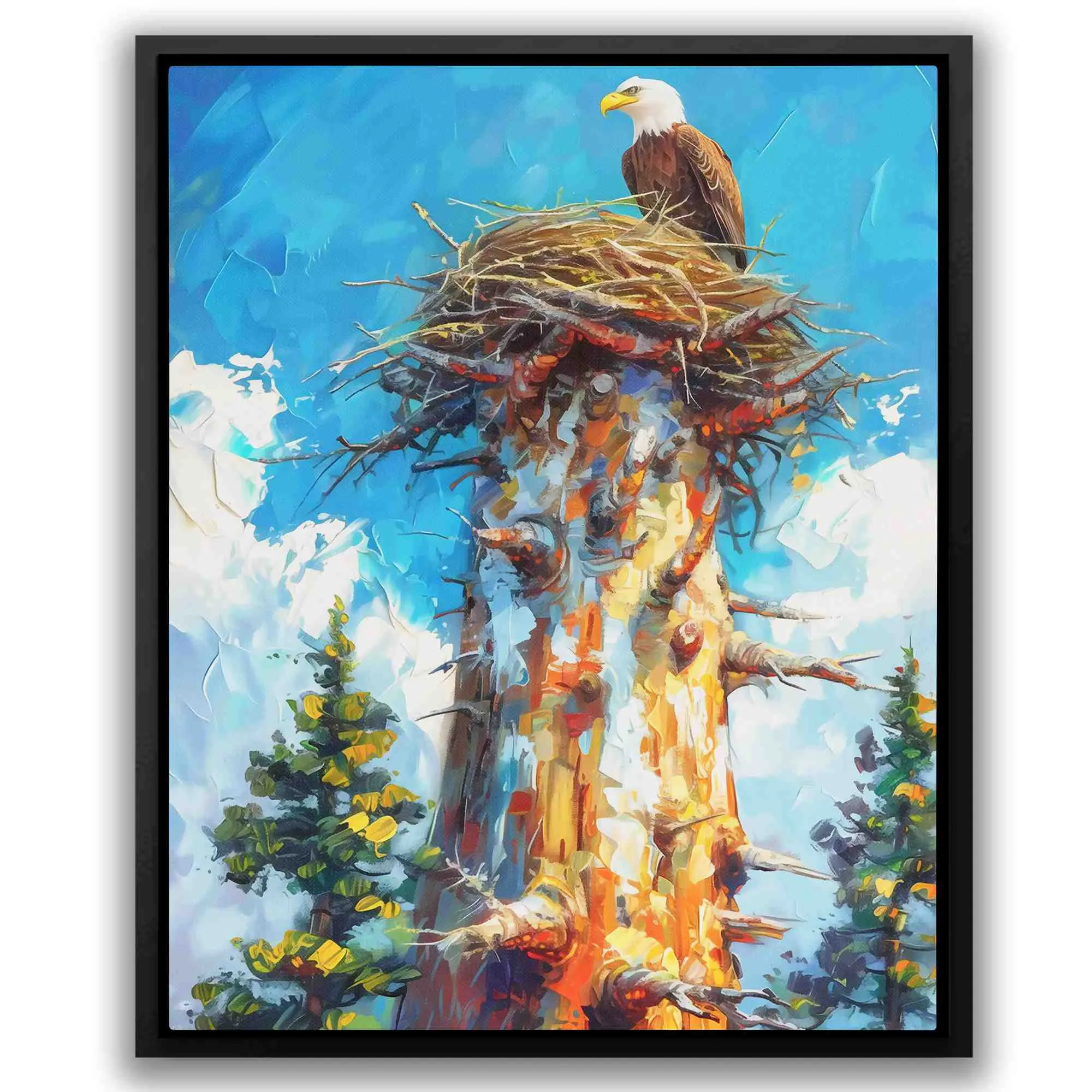 Bald Eagle Nest