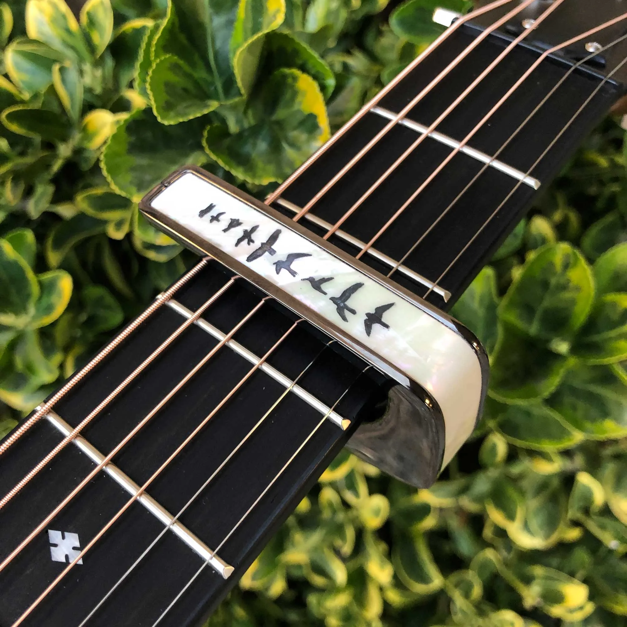 Birds on Pearl | Deluxe Capo