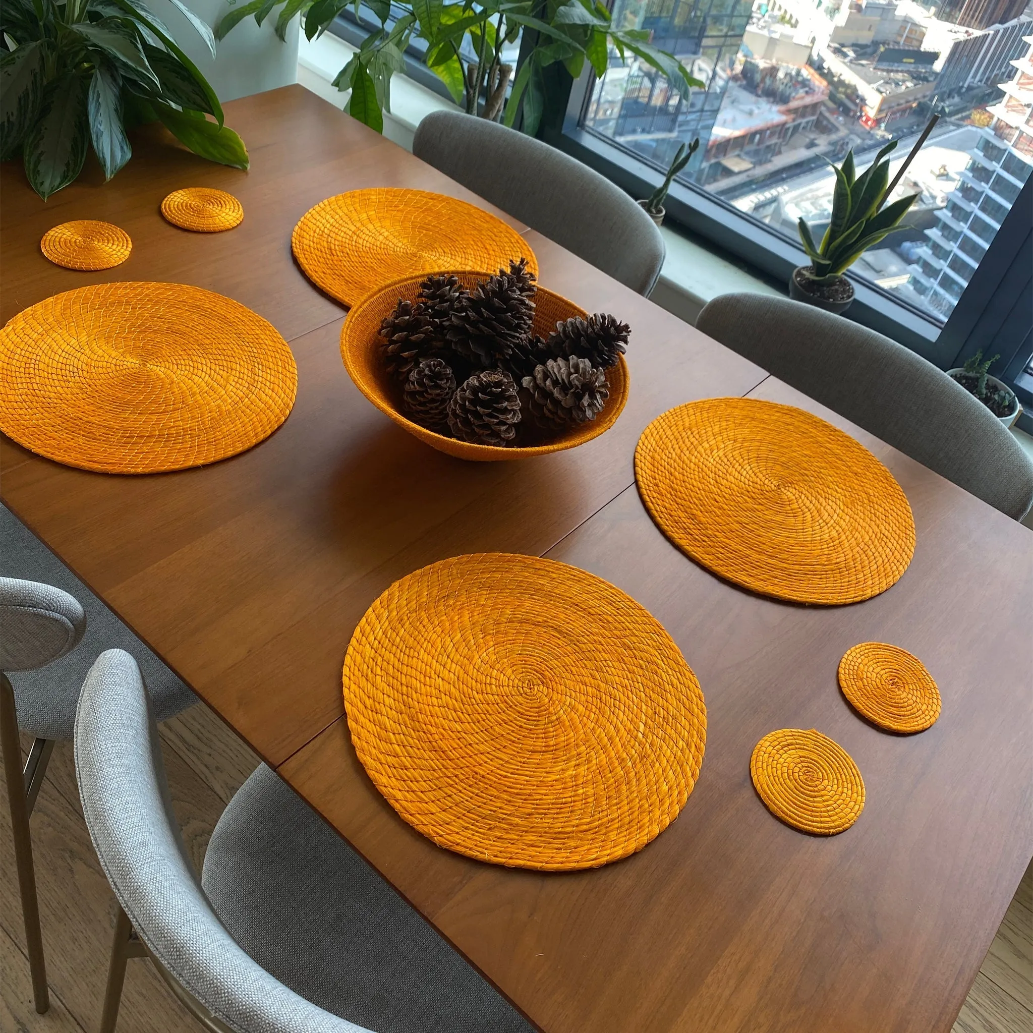 Mango Yellow Cool Coasters 4 Set